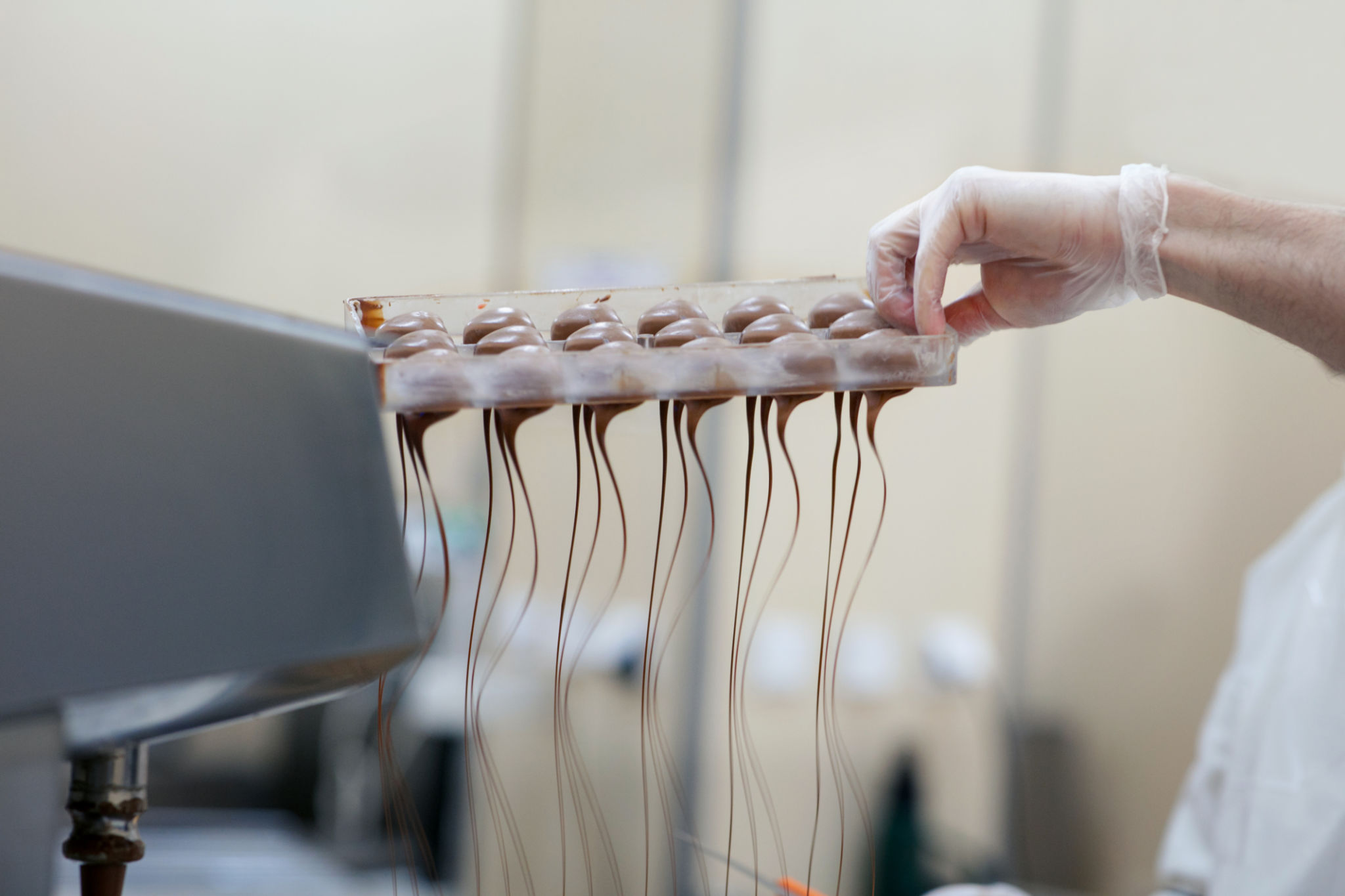 belgian chocolate making