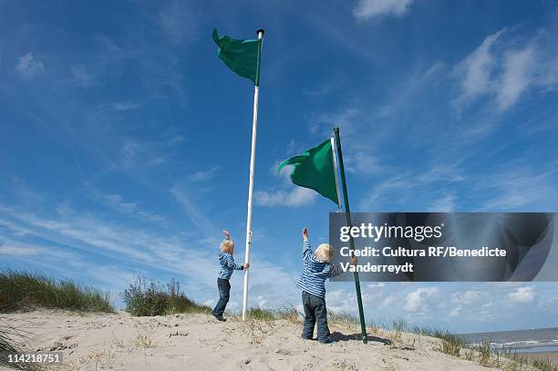 two little brothers with flags by sea - ビーチフラッグ ストックフォトと画像