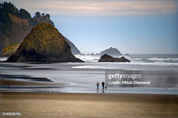 couple enjoying cannon beach morning - cannon beach imagens e fotografias de stock