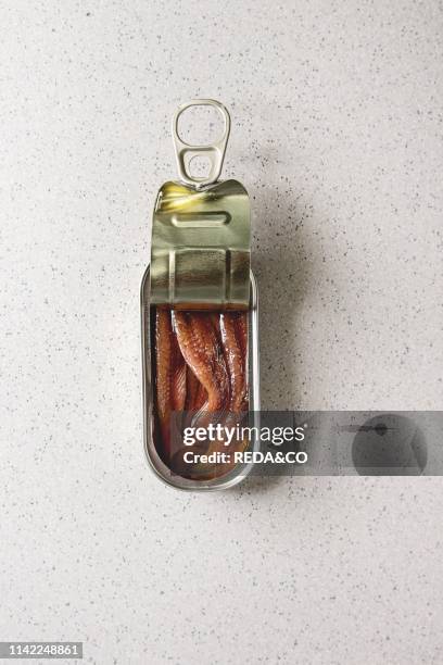 Pickled salted anchovies fillet in oil in open tin can over grey spotted background. Flat lay. Copy space.