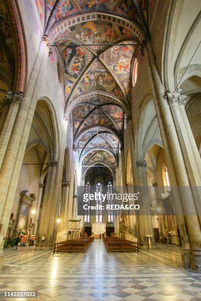 Cathedral of Saints Peter and Donato. Interior. Arezzo. Tuscany. Italy. Europe.