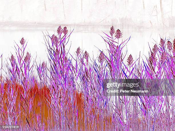 blue grass, abstract - blue grass valley virginia stock illustrations
