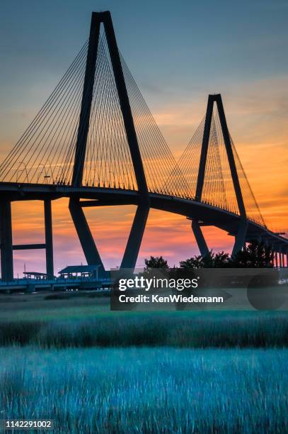 ravenel bridge detail - charleston carolina do sul imagens e fotografias de stock