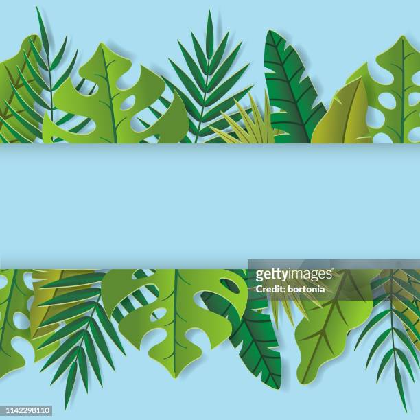 371 Jungle Leaves Clipart Photos and Premium High Res Pictures - Getty  Images