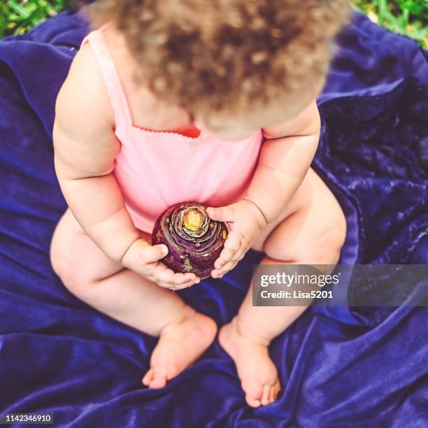 Baby Rutaba 77 Tiny Turnip Stock Photos, High-Res Pictures, and Images - Getty Images