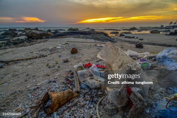 the sea that is full of garbage is on the beach - plastic animals stock pictures, royalty-free photos & images