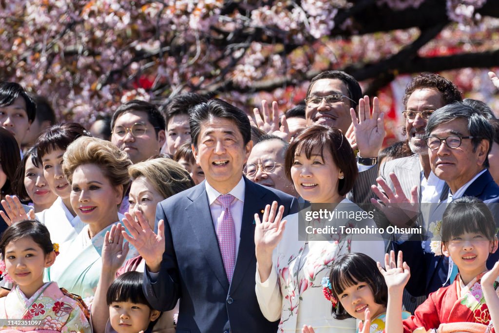 Japanese PM Abe Hosts Cherry Blossom Viewing Party