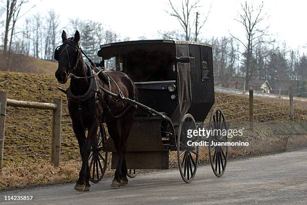 amish horse and buggy - carriage stock pictures, royalty-free photos & images