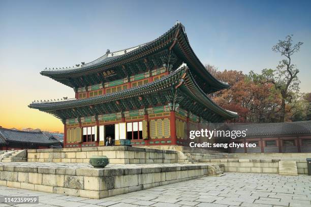 palace of changdeokgung - seoul bildbanksfoton och bilder