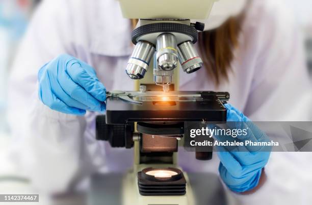 science concept; experimental scientists in chemical laboratory. development and scientific research in laboratory - microscoop stockfoto's en -beelden