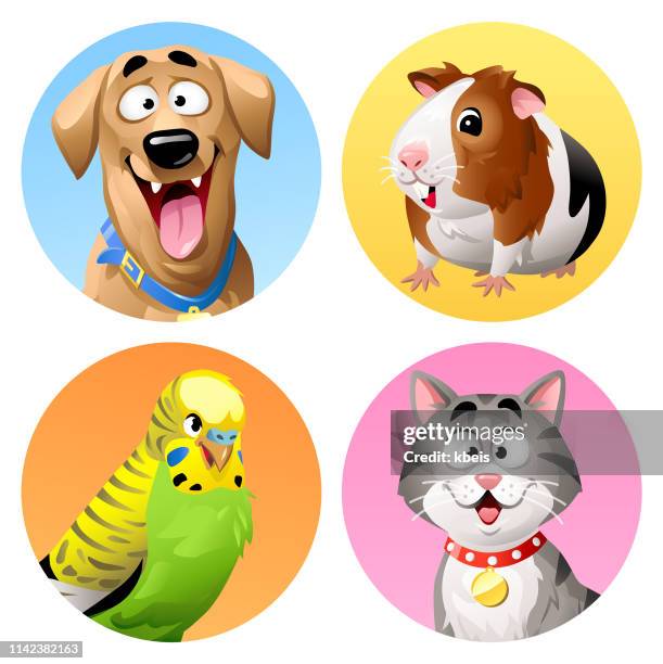 illustrations, cliparts, dessins animés et icônes de animaux de compagnie icônes-chat, chien, perruche et cochon d’inde - avatar