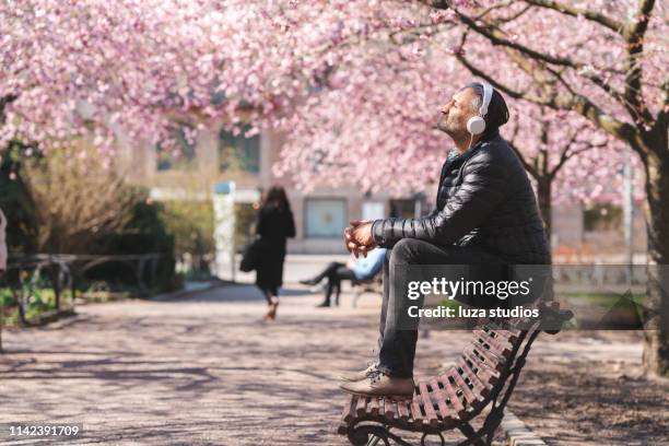 hombre maduro escuchando música en el parque - cerezos en flor fotografías e imágenes de stock