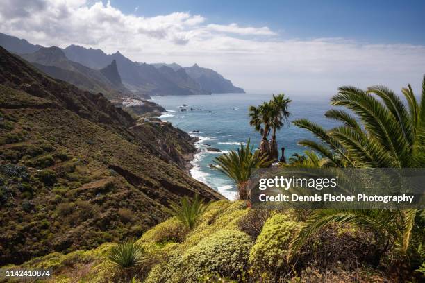 the beautiful coastline of tenerife - canary islands stock pictures, royalty-free photos & images