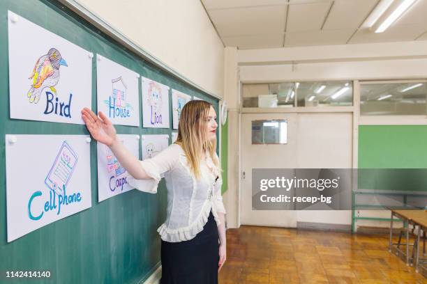 教室で英語を教える若い先生 - english language ストックフォトと画像
