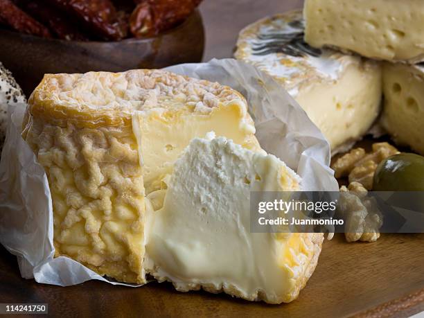 langres chalancey french cheese - bacteria cultures stock pictures, royalty-free photos & images