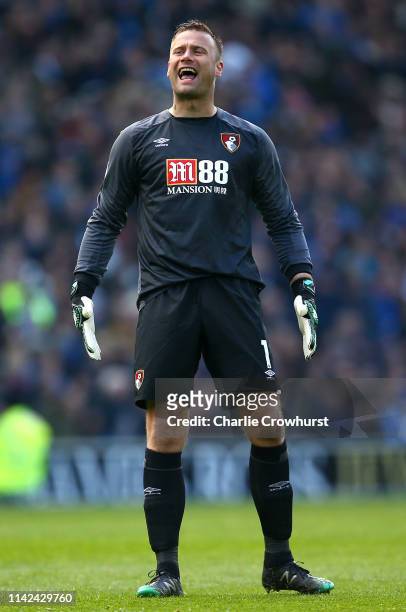 Artur Boruc of AFC Bournemouth celebrates his sides first goal during the Premier League match between Brighton & Hove Albion and AFC Bournemouth at...