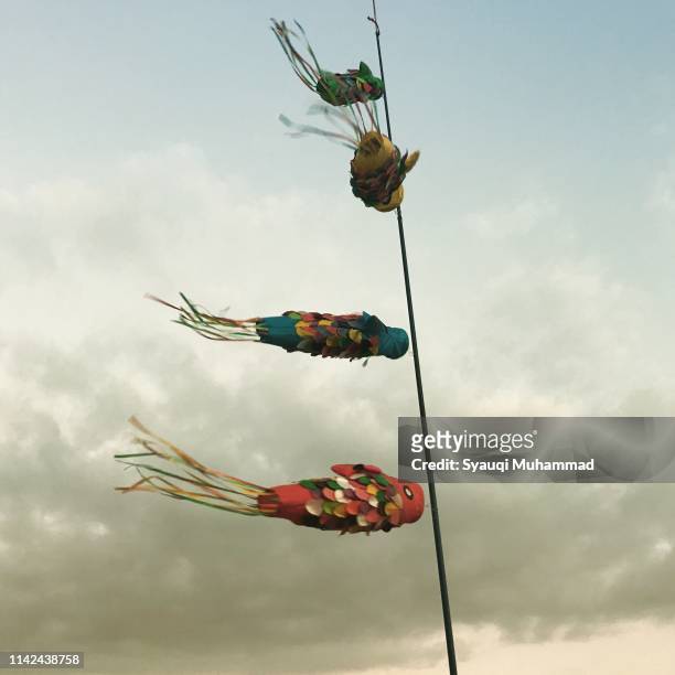 fish kites by the beach - indonesian kite stock pictures, royalty-free photos & images