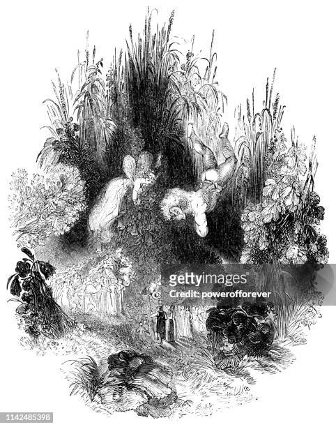 the fairies in the forest - works of william shakespeare - the fairy queen stock illustrations