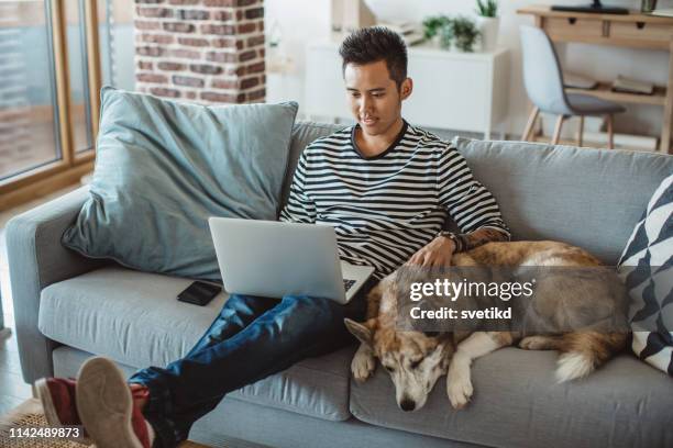 vous devez continuellement étudier si vous voulez réussir - young man laptop couch photos et images de collection