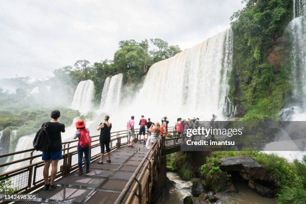 looking at waterfall - foz do iguacu stock pictures, royalty-free photos & images