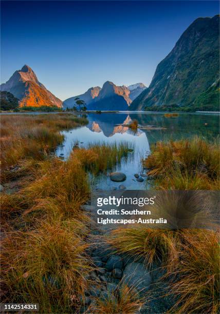 dawn on the water's edge of the deepwater basin, milford sound in the south island, new zealand. - mount lofty south australia stock pictures, royalty-free photos & images
