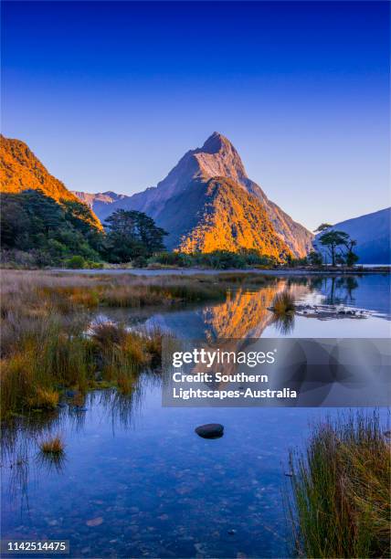 dawn on the water's edge of the deepwater basin, milford sound in the south island, new zealand. - milford sound stock pictures, royalty-free photos & images