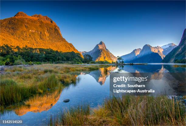 dawn on the water's edge of the deepwater basin, milford sound in the south island, new zealand. - great basin foto e immagini stock