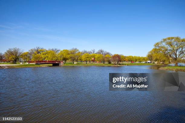 springtime in belle isle - detroit river stockfoto's en -beelden