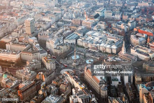 aerial view of trafalgar square at sunset, london, uk - trafalgar square stock-fotos und bilder