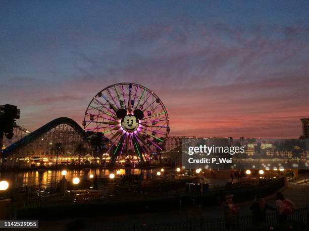 aventura de califórnia no por do sol. - mickey mouse - fotografias e filmes do acervo