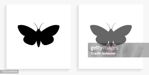 ilustraciones, imágenes clip art, dibujos animados e iconos de stock de la polilla cuadrado blanco y negro icono - mariposa nocturna