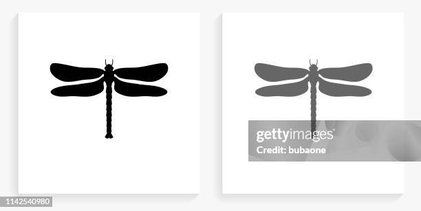 dragon fly black and white square icon - dragonfly stock illustrations