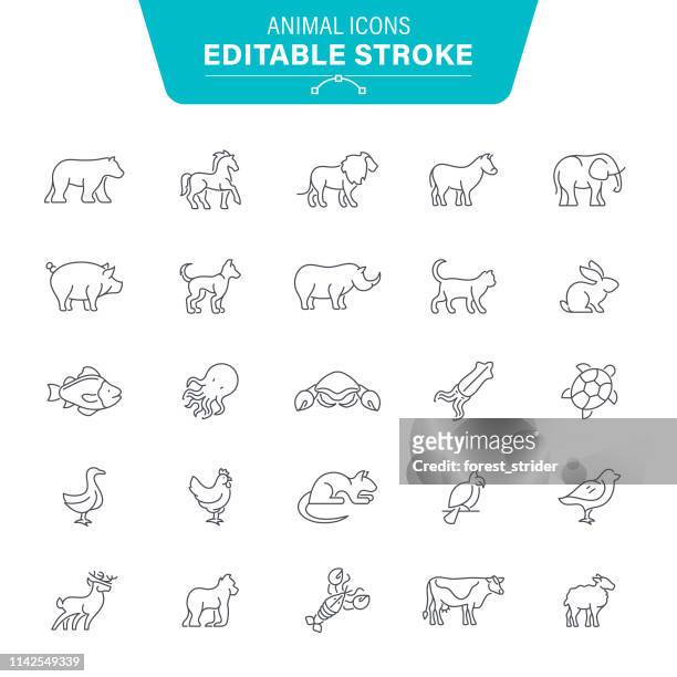 animal icons - animal wildlife stock illustrations