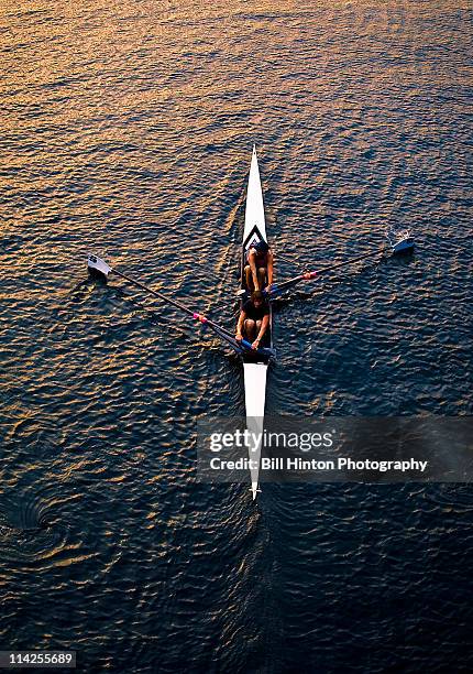 evening row on lake union,seattle - single scull bildbanksfoton och bilder