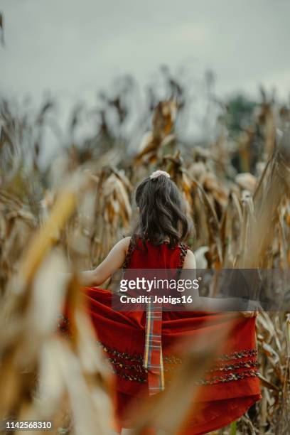 girl in red dress at the cornfield - may 16 stock pictures, royalty-free photos & images