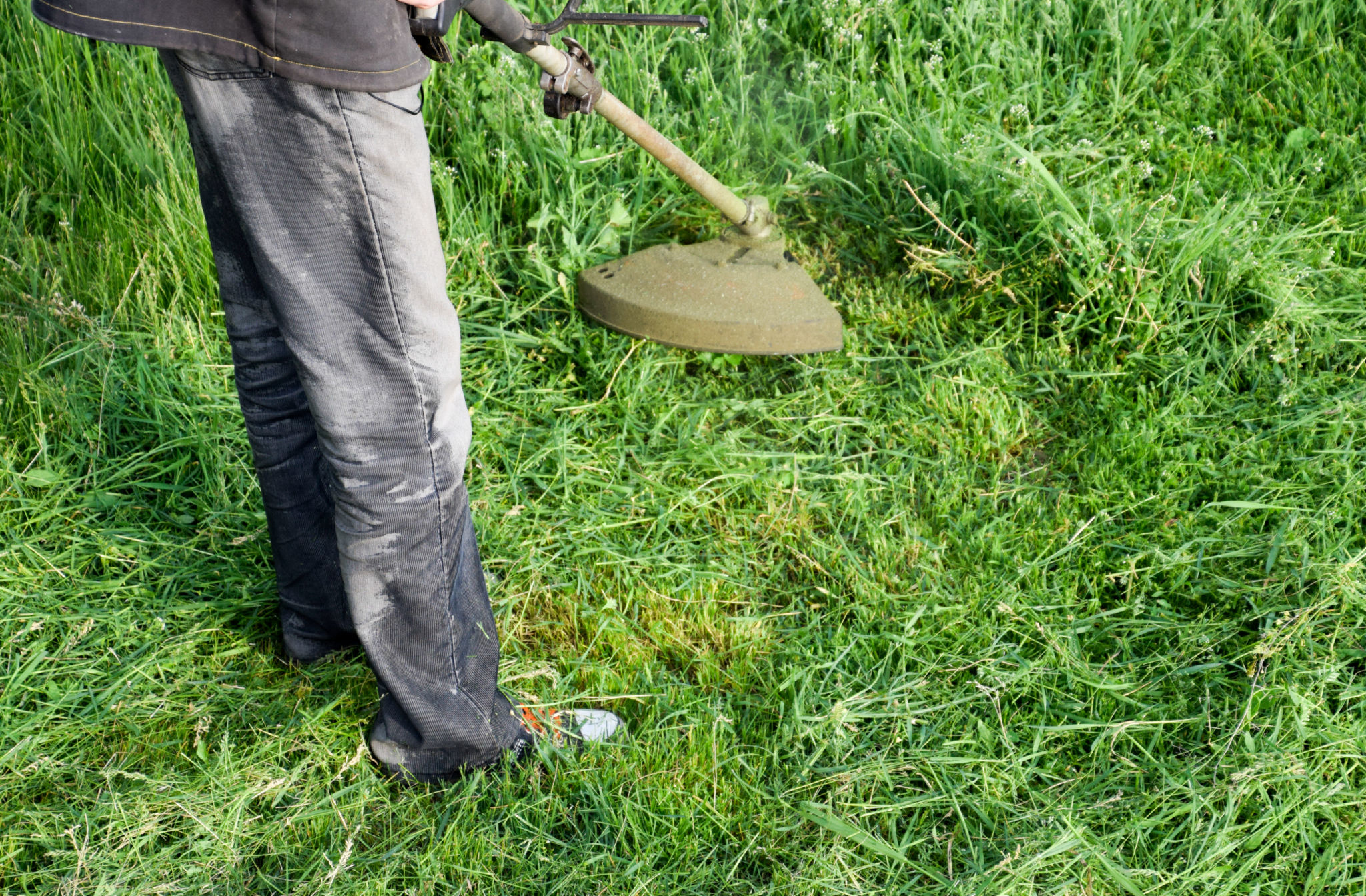 lawn care decision
