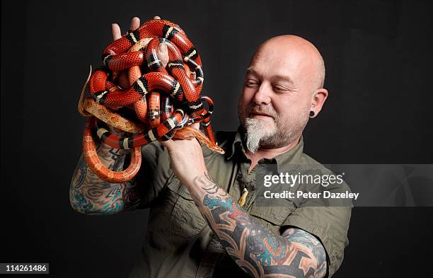 snake handler holding corn and pueblan milk snakes - profissão relacionada com animais - fotografias e filmes do acervo