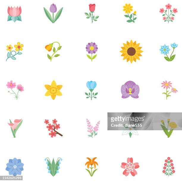 ilustraciones, imágenes clip art, dibujos animados e iconos de stock de icono de flor linda en diseño plano-girasol - orquidea salvaje