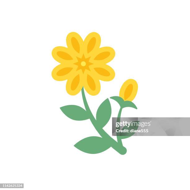 niedliche blumenschneeche in flacher ausführung-yellow calendula - calendula stock-grafiken, -clipart, -cartoons und -symbole