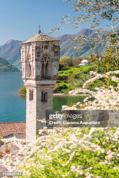 gothic bell tower of s. mary magdalene church in ospedaletto and isola comacina in the background, ossuccio, como province, lombardy, italy - lake como stock-fotos und bilder