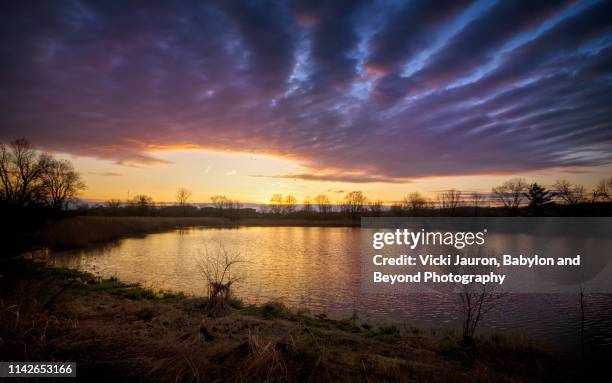 amazing clouds at sunrise over pond at exton park, pennsylvania - delaware county pennsylvania stock pictures, royalty-free photos & images