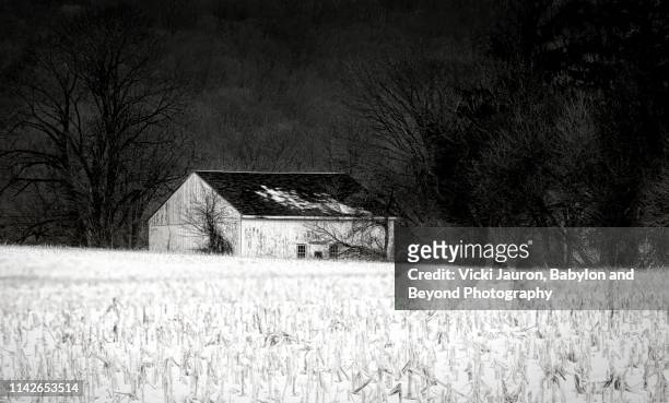 barn in pennsylvania with dark and light contrast - delaware county pennsylvania stock pictures, royalty-free photos & images