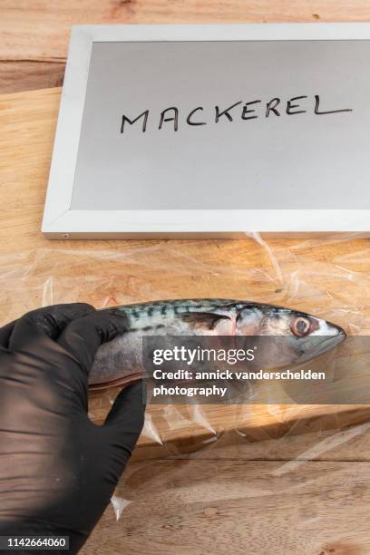 mackerel - vacuum packed stock pictures, royalty-free photos & images