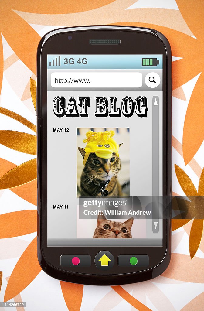 Person viewing a blog on mobile phone