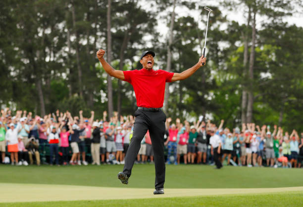 UNS: In Profile: Tiger Woods