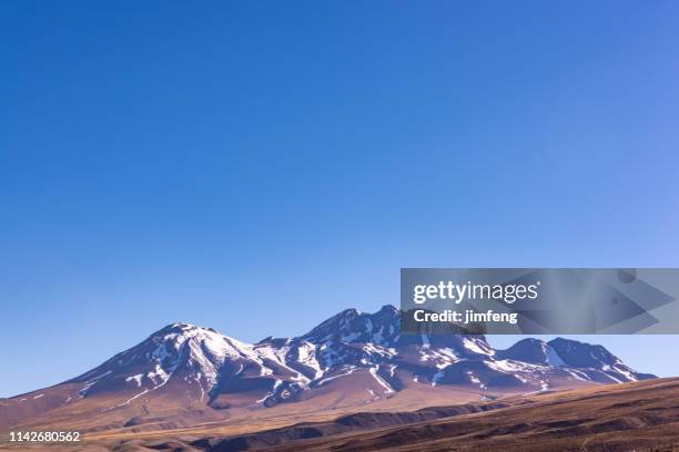 tropic van steenbok-atacama desert, chili - calama stockfoto's en -beelden