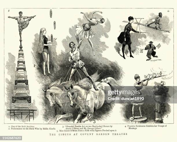 ilustraciones, imágenes clip art, dibujos animados e iconos de stock de artistas de circo en covent garden theatre, victorian, 19th century - circus performer