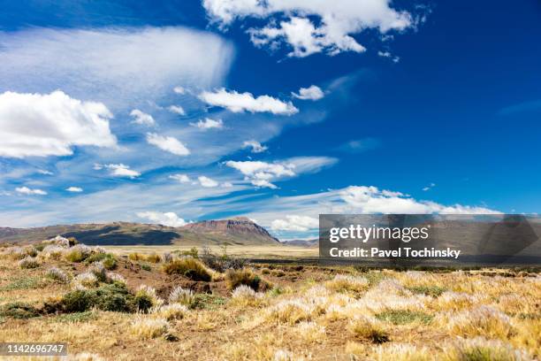 typical argentinian patagonia landscape - barren land with limited vegetation, patagonia, argentina, january 14, 2018 - pampa argentine stock-fotos und bilder