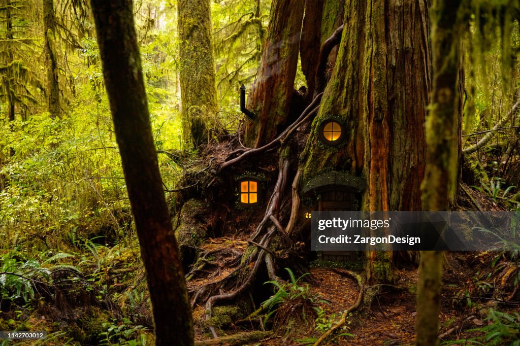 Fairy tree house