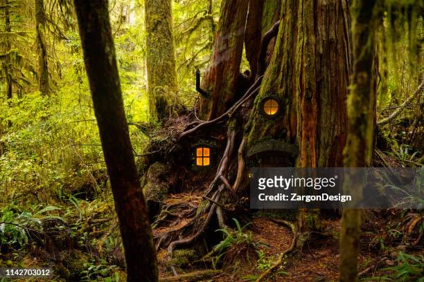 fairy tree house - fairy stock pictures, royalty-free photos & images